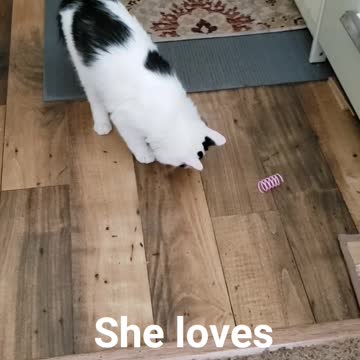 Rebel gets new toys