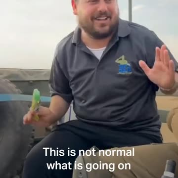 Israeli influencer Shita Hakdosha showing his excitement about the bombing of Palestinians,