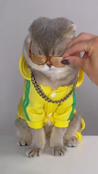 💗Cute And Funny Pets | Try Not To Laugh To These Pets Compilation #7💗 Cutest Lands