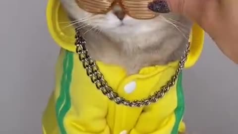 💗Cute And Funny Pets | Try Not To Laugh To These Pets Compilation #7💗 Cutest Lands