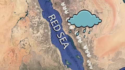 How Saudi is Turning Desert into Greenland