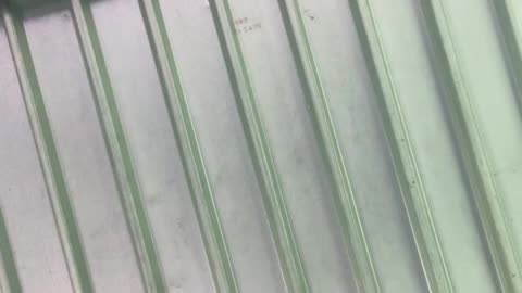 Nobody’s forcing you to be murderers or terrorist it’s a choice you’re making