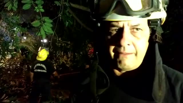 Árbol cayó de manera repentina en un parque de Bucaramanga