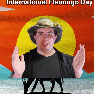 This Is What A Flamingo Nest Looks Like!! | Early Morning Eland 17