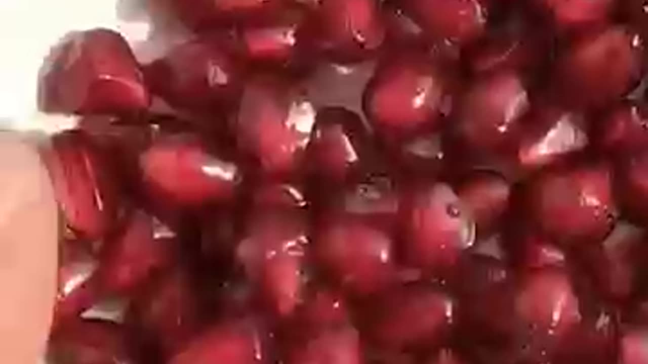 How to grow pomegranate tree from seeds at home #growing_pomegranate_plant_from_seeds