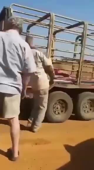 Civil 24/7 south Africa