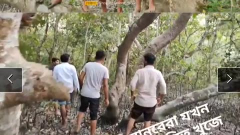 Some moments of sightseeing in Sundarbans.