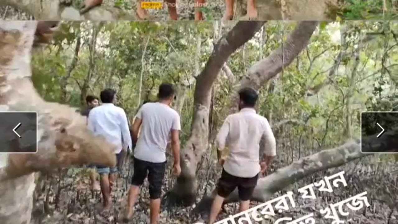 Some moments of sightseeing in Sundarbans.