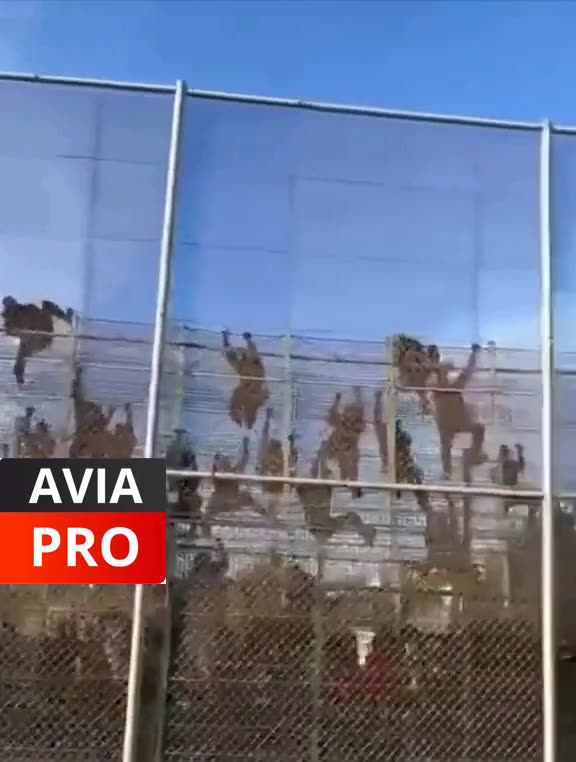 US border looks like a scene from The Walking Dead