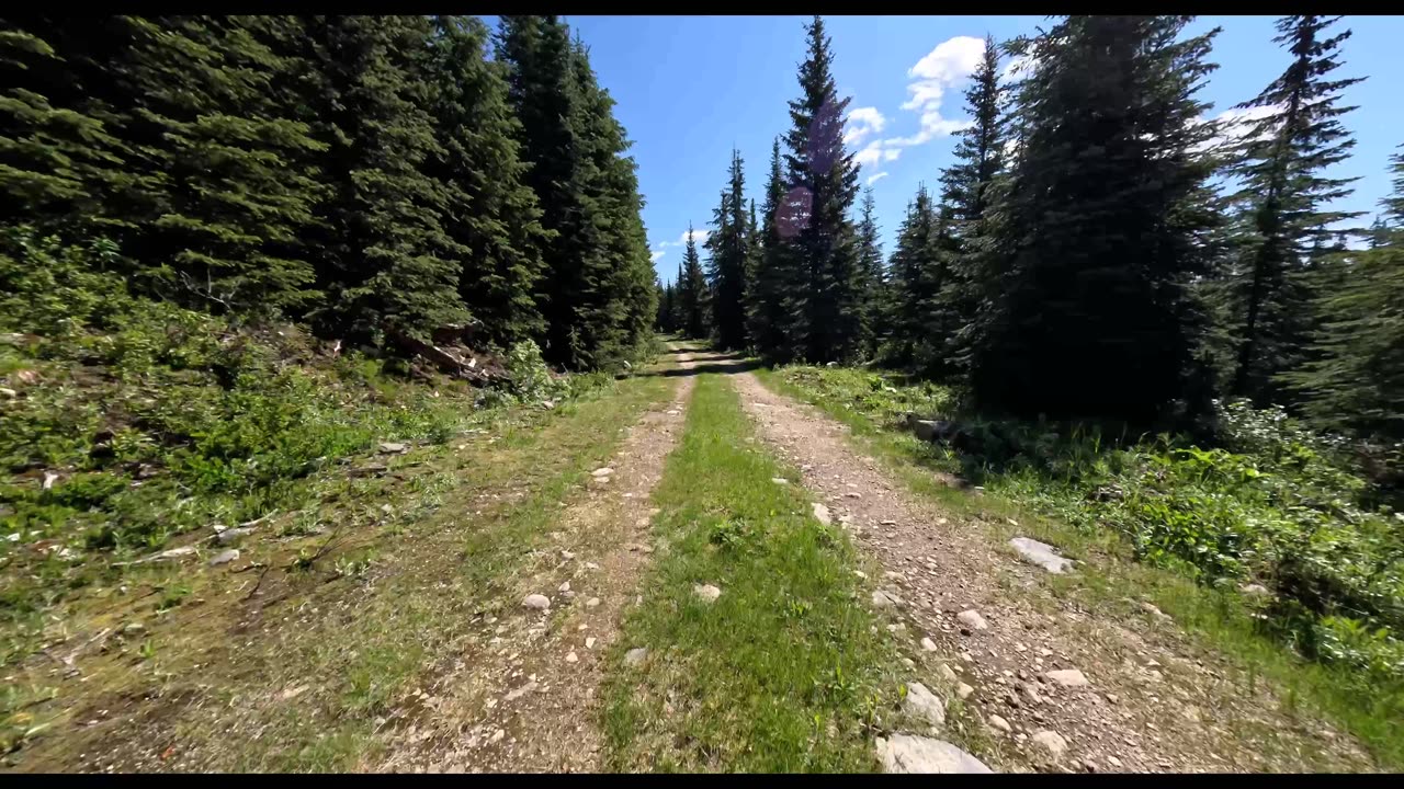 Yard Creek FSR (Malakwa B.C.) 19km to Caribou Lake