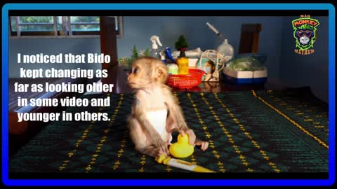 Monkey Bido, The Lunatic and Fake Vet