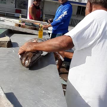 Spear fishing in san pedro