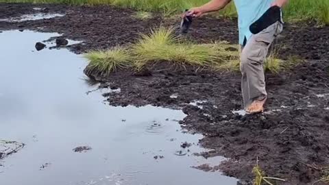 Man plunges into muddy water while trying to 'take a shortcut' in Maldives |||