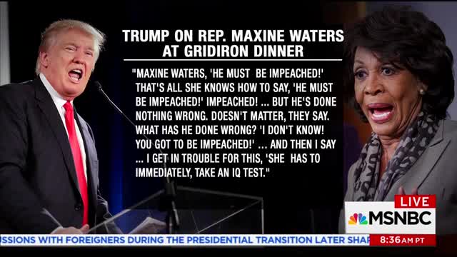 Maxine Waters: Trump Is 'Racist' For Questioning My IQ