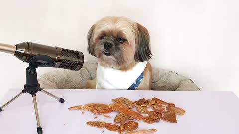 ASMR Dog eats dehydrated chicken