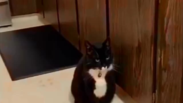 Disappointment and surprise
