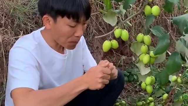 Farm Fresh Ninja Fruit Cutting Desi Satisfying Fruit Ninja Fruit Ideas | Amazing Fruits Video