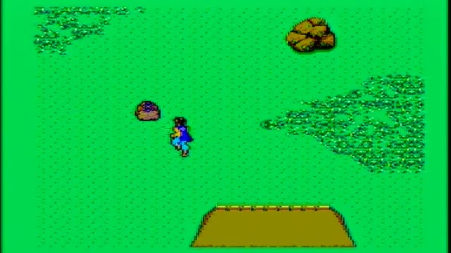 The Ninja Sega Master System Game Review