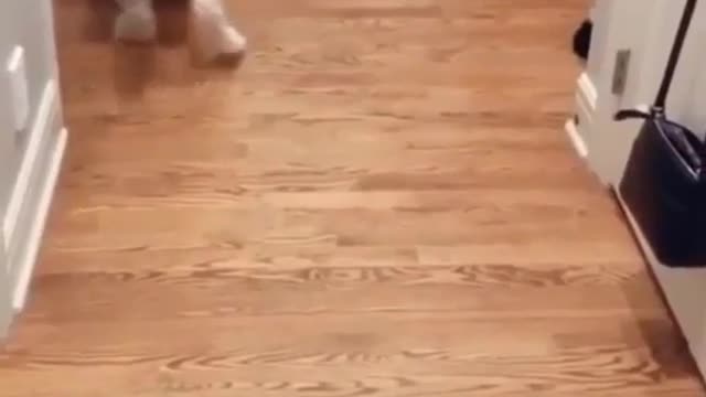 PrinceX Satisfying Video. This video maybe happy you.