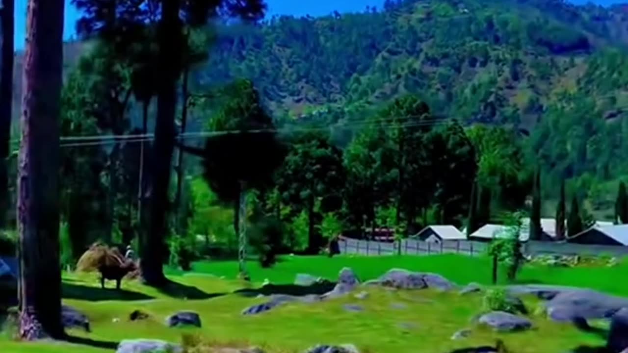 Kumrat Valley Dir KPK Pakistan