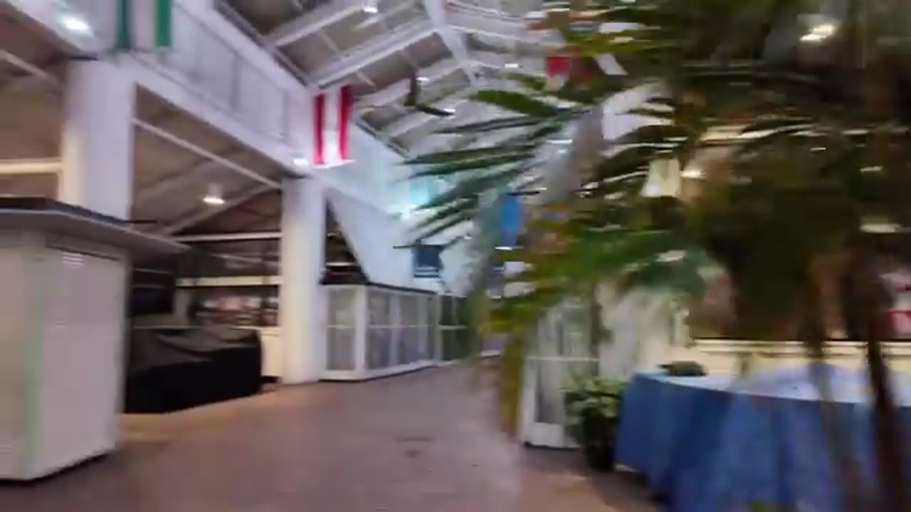 The Miami Portal Incident [Video Compilation]