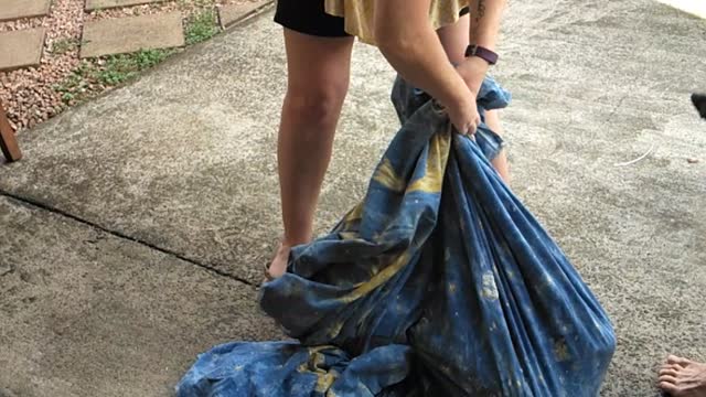 90 Pound Python Found in Laundry Room