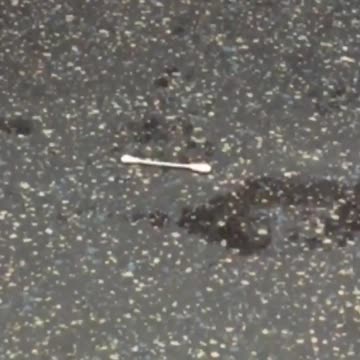 Harlem q tip on subway zoom in