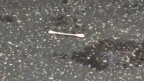Harlem q tip on subway zoom in