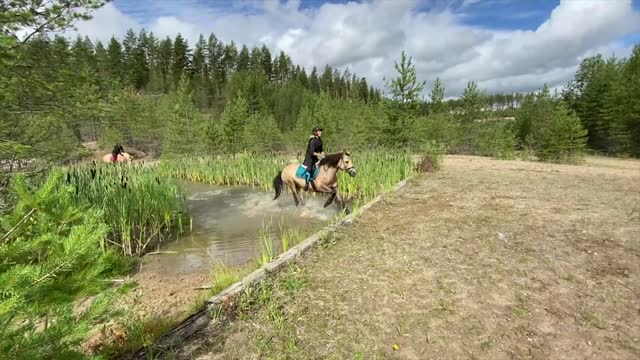 Missä maatilamme sijaitsee? Sis. hevosten villiintymisen