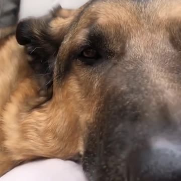 I think he doesn't like me"