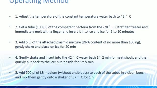 Escherichia Coli Transformation Experiment Guide