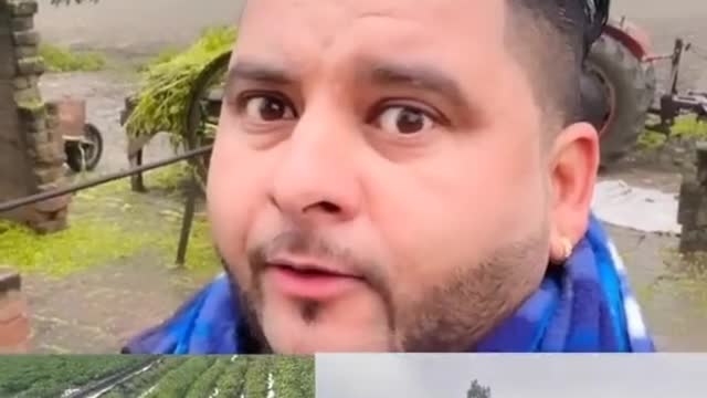 Punjabi funny