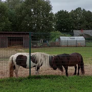 Which of us is stronger?