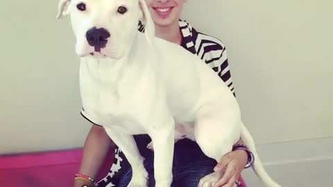 Big Dog SIting On his Owner's Leg