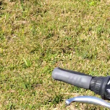 Corrie Billie's Air Boat Rides, I am out for my daily bike ride and saw them.