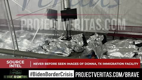 The Border Cages - Project Veritas