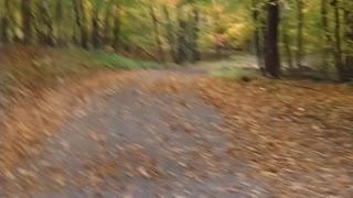 The beauty of fall