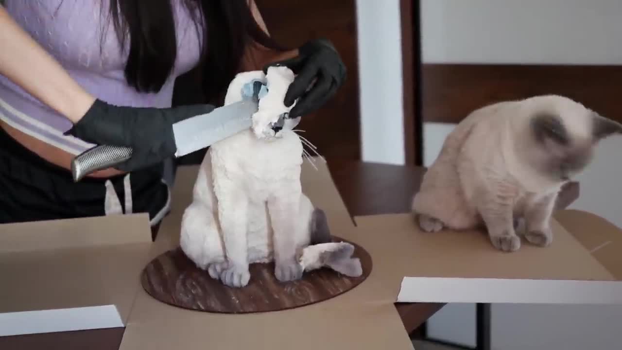 Cat Reaction to Cake that is similar to ca