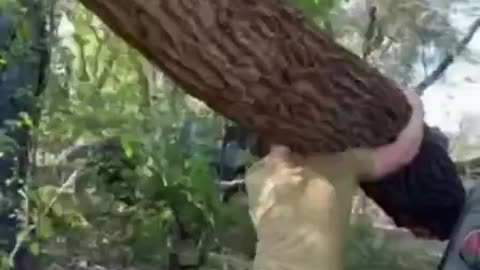 How is Something like This Even Possible? (Ukrainian Superman)