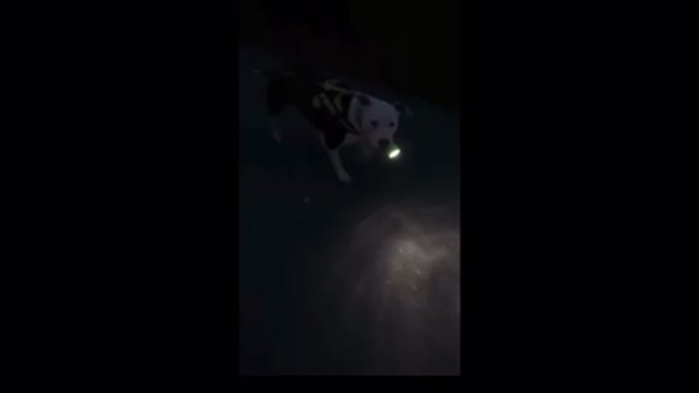 Watch this