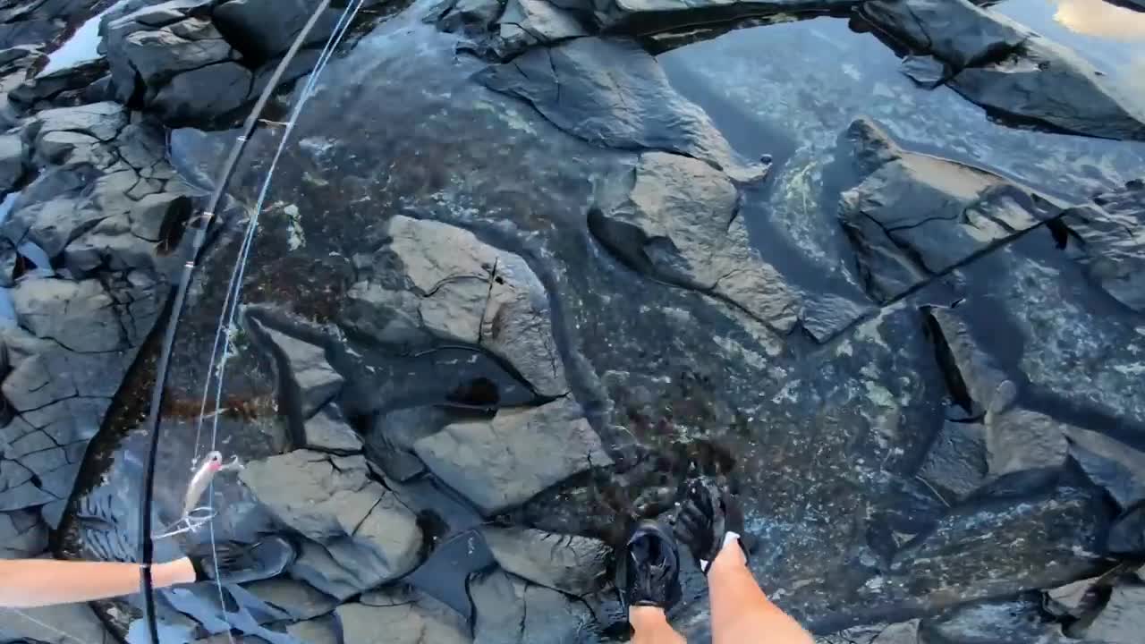 Fishing in Crystal Clear Rock Pools!