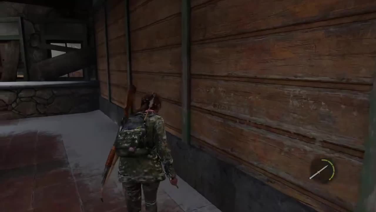 The Last of Us PART 09