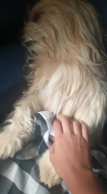 I am resting cant you see