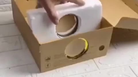 Homemade Projector 📽