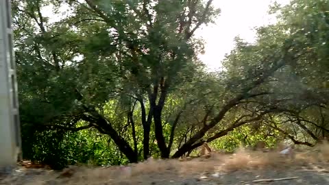Trafic drive 2