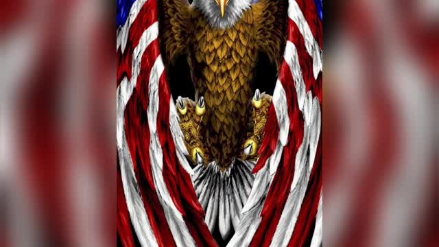 Tom macdonald this house Trump2024