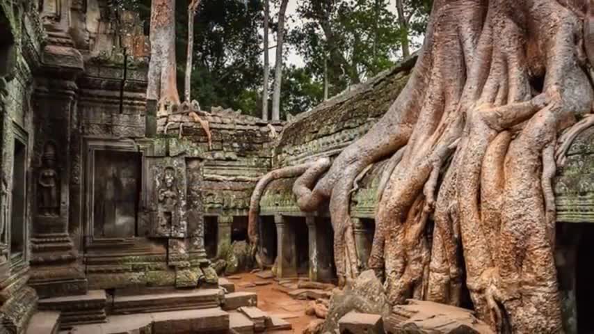 20 abandoned places that have been invaded by nature