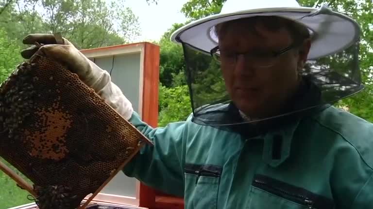 Thermosolar beehive protects against mite.