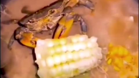 Snacking while waiting to die.....🧐🧐🧐🧐