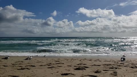 Me swimming in Atlantic Ocean, off of Palm Beach, Florida